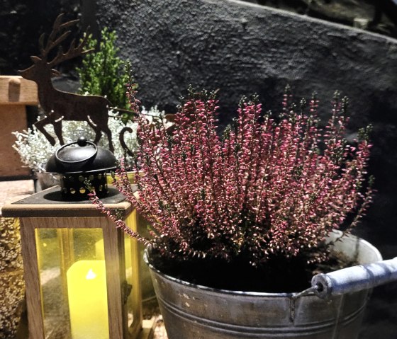 20221116_172313_2 20221116_172313_2