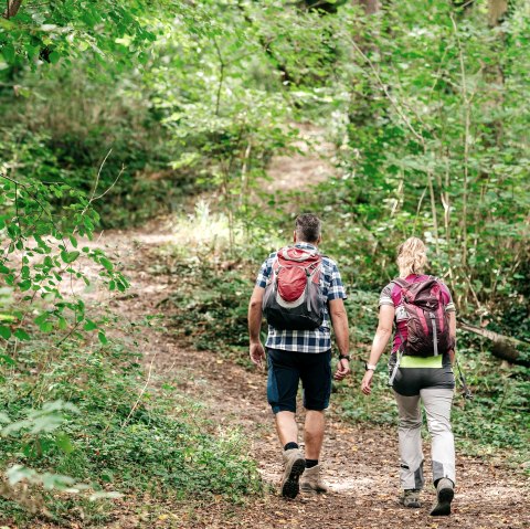 Hike, © Paul Meixner Hike, © Paul Meixner