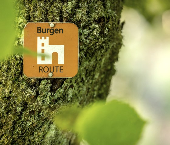 Ein orangefarbenes Schild mit der Aufschrift 'Burgen-Route' hängt an einem moosbewachsenen Baumstamm im Wald., © Eifel Tourismus GmbH, Dominik Ketz Ein orangefarbenes Schild mit der Aufschrift 'Burgen-Route' hängt an einem moosbewachsenen Baumstamm im Wald., © Eifel Tourismus GmbH, Dominik Ketz