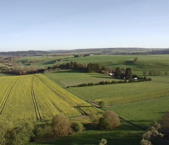 View 2 View 2