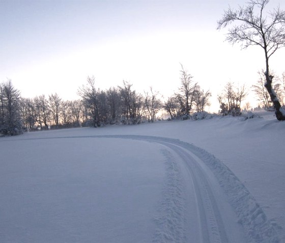 Gespurte Loipe, © Günter Scheidt Gespurte Loipe, © Günter Scheidt