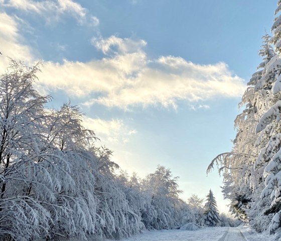 Winterlandschaft, © Petra Schumacher Winterlandschaft, © Petra Schumacher