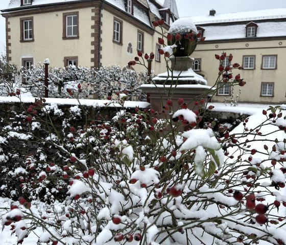 Schloss Winter, © Nordeifel Tourismus GmbH & La Maison Schloss Winter, © Nordeifel Tourismus GmbH & La Maison