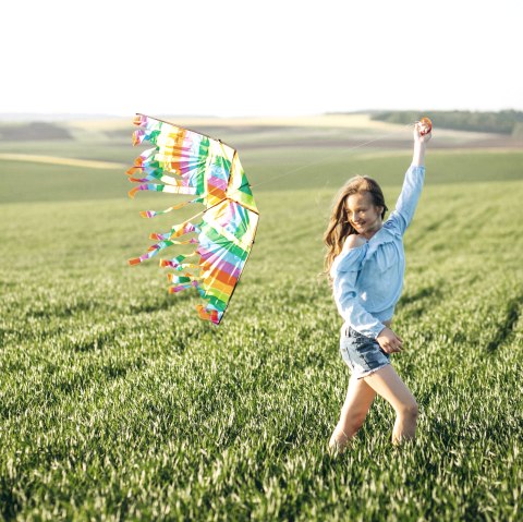 Workshop Drachen, © Freepik Workshop Drachen, © Freepik