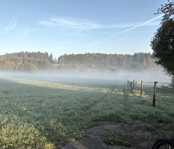 Autumn landscape in the morning, © C. Wolter Autumn landscape in the morning, © C. Wolter