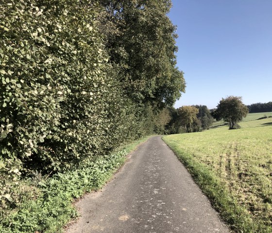 image00009, © Rursee-Touristik GmbH, Conni Schink image00009, © Rursee-Touristik GmbH, Conni Schink