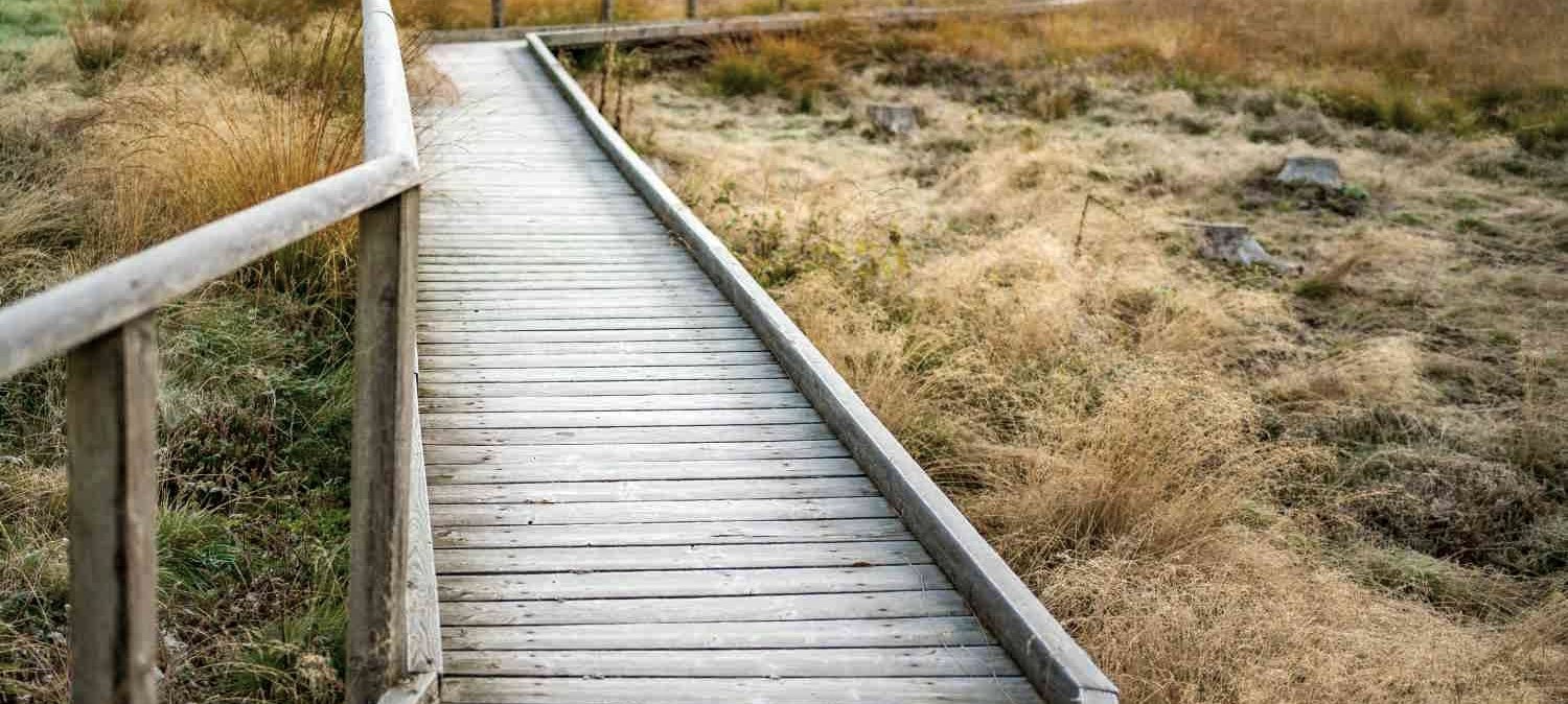 Moorgebiet, © Paul Meixner Moorgebiet, © Paul Meixner