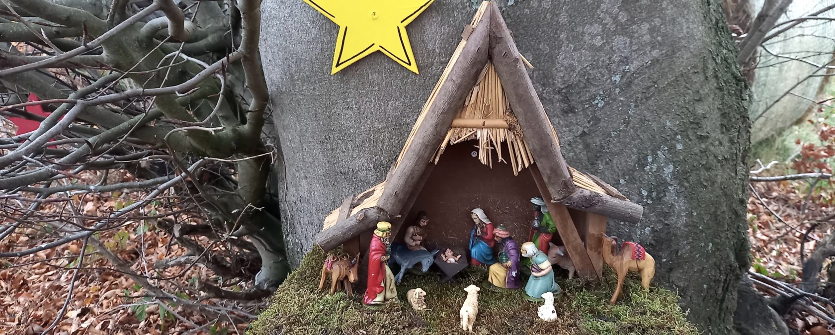 20221127_154408 20221127_154408