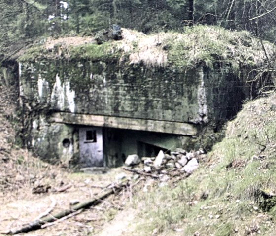 Bunker, © Willem Willems, Harald Koschik, Manfred Groß et al.: Der Westwall; Vom Denkmalwert des Unerfreulichen Bunker, © Willem Willems, Harald Koschik, Manfred Groß et al.: Der Westwall; Vom Denkmalwert des Unerfreulichen
