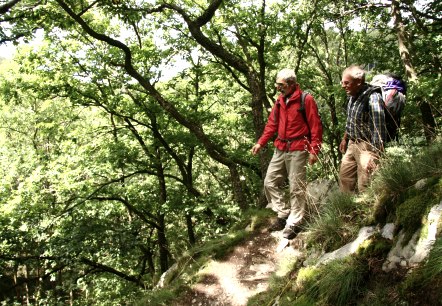 Wildnis-Trail, © Guido Priske Wildnis-Trail, © Guido Priske