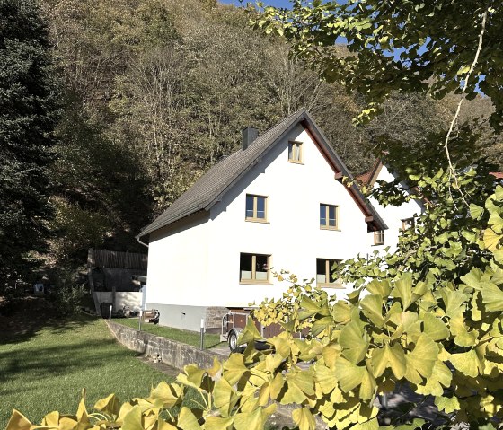Frontalansicht mit Ginkgo Biloba, © Nordeifel Tourismus GmbH & Ferienhaus Glnkgo Biloba Frontalansicht mit Ginkgo Biloba, © Nordeifel Tourismus GmbH & Ferienhaus Glnkgo Biloba