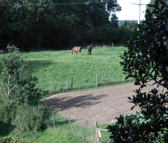 Blick vom Balkon, © Nordeifel Tourismus GmbH & Ferienwohnung Charly Blick vom Balkon, © Nordeifel Tourismus GmbH & Ferienwohnung Charly