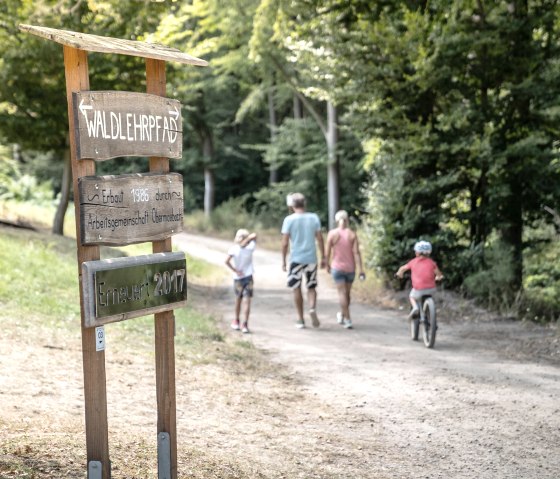 Vom Waldspielplatz Richtung Waldlehrpfad, © Grünmetropole - Dennis Stratmann Vom Waldspielplatz Richtung Waldlehrpfad, © Grünmetropole - Dennis Stratmann