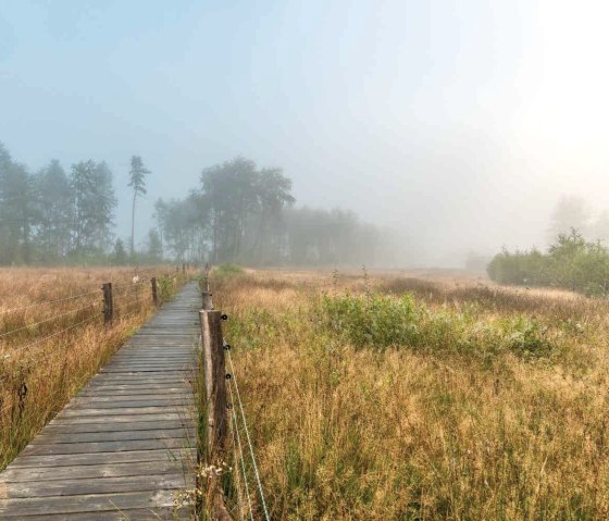 Sistiger Heide, © Paul Meixner Sistiger Heide, © Paul Meixner
