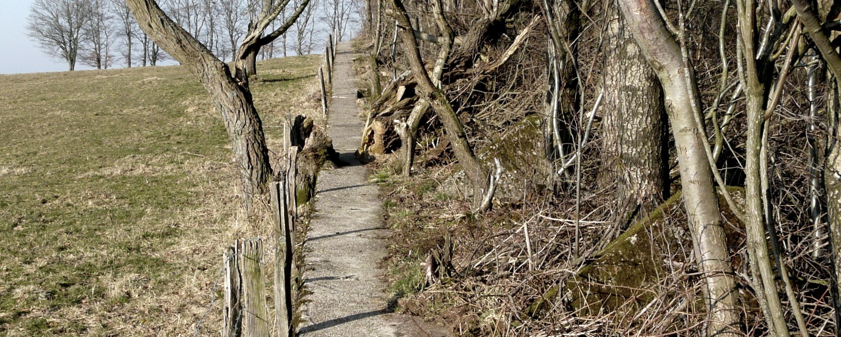 Forest path, © Monschau-Touristik Forest path, © Monschau-Touristik