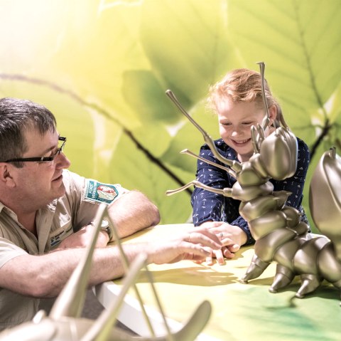 Visit the Wilderness(t)spaces exhibition with children, © Nationalpark Eifel, D. Ketz Visit the Wilderness(t)spaces exhibition with children, © Nationalpark Eifel, D. Ketz