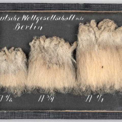 Wool samples from the German Wool Society, 1919, © LVR-Industriemuseum Wool samples from the German Wool Society, 1919, © LVR-Industriemuseum