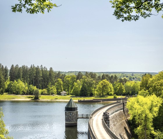 Dreilägerbachtalsperre, © Eifel Tourismus GmbH, Dominik Ketz Dreilägerbachtalsperre, © Eifel Tourismus GmbH, Dominik Ketz
