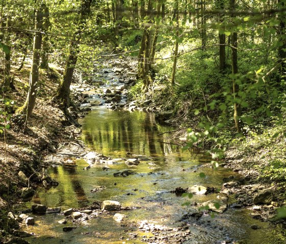Der Hasselbach, © Kupferstadt Stolberg, Dominik Ketz Der Hasselbach, © Kupferstadt Stolberg, Dominik Ketz