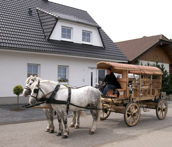 Roman coach 100_0487, © Nordeifel Tourismus GmbH & Haus am Hahnenberg Roman coach 100_0487, © Nordeifel Tourismus GmbH & Haus am Hahnenberg