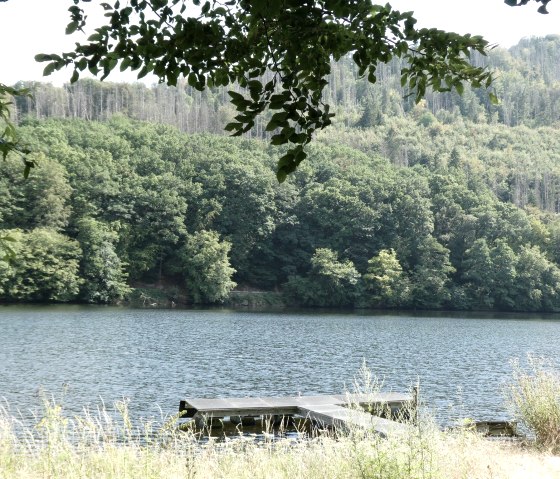 See mit Steg, © Eifel heimisch See mit Steg, © Eifel heimisch