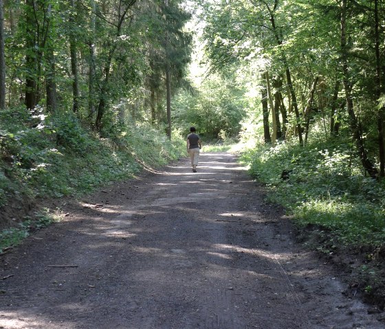 Wanderweg 1, © Dietmar Frank & Nordeifel Tourismus GmbH Wanderweg 1, © Dietmar Frank & Nordeifel Tourismus GmbH