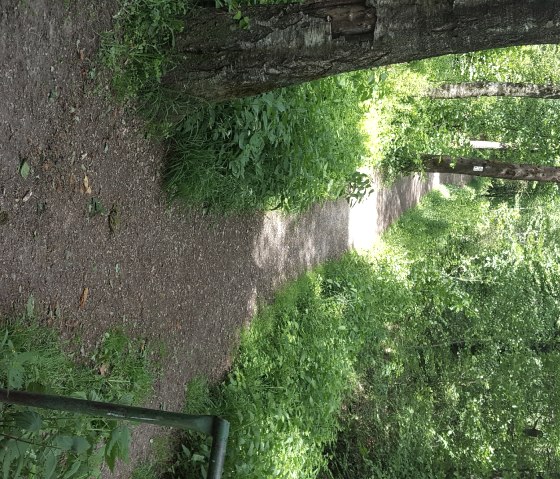 schleebach-richtung-wildpark1, © (c) Gemeinde Roetgen schleebach-richtung-wildpark1, © (c) Gemeinde Roetgen