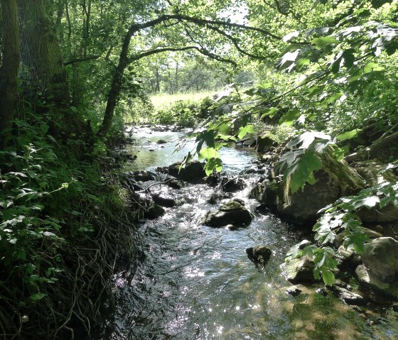 Eschweiler_Bach_4, © Dietmar Frank & Nordeifel Tourismus GmbH Eschweiler_Bach_4, © Dietmar Frank & Nordeifel Tourismus GmbH