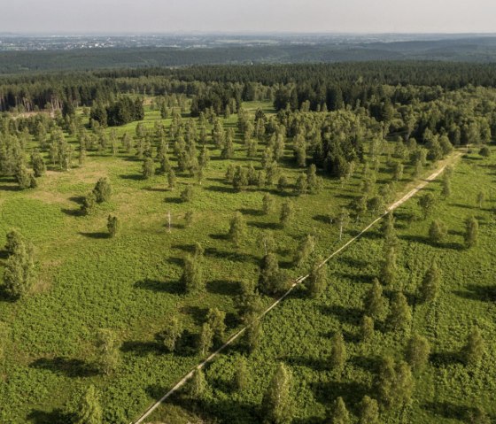 Der Wanderweg Struffeltroute aus der Vogelperspektive, © Eifel Tourismus GmbH/D. Ketz Der Wanderweg Struffeltroute aus der Vogelperspektive, © Eifel Tourismus GmbH/D. Ketz