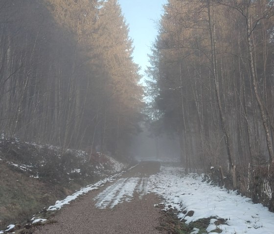 Januarwaldweg (co) Theißen-Braun Januarwaldweg (co) Theißen-Braun