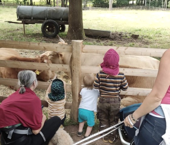 Familie vor Rindern, © Lena Poth Familie vor Rindern, © Lena Poth