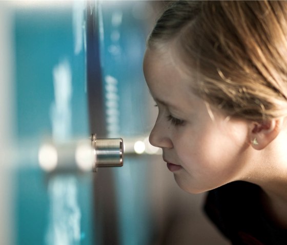 Child at the scented wall, © LVR-ZMBD. Schmitz Child at the scented wall, © LVR-ZMBD. Schmitz