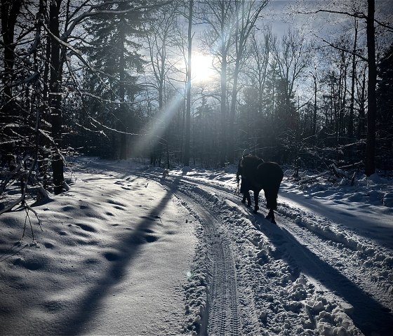 Winterimpressionen 2024 Winterimpressionen 2024