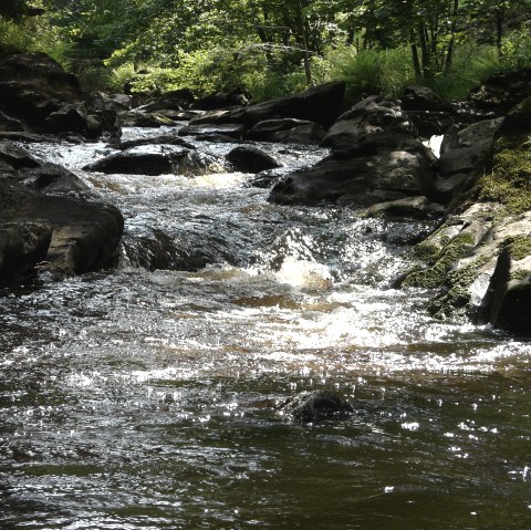Rur bei Monschau, © Monschau-Touristik Rur bei Monschau, © Monschau-Touristik