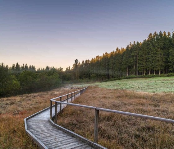 Moorlandschaft, © Paul Meixner Moorlandschaft, © Paul Meixner