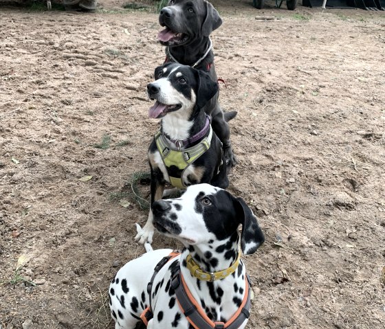 Kya, Woya, Barton (from the front) Kya, Woya, Barton (from the front)