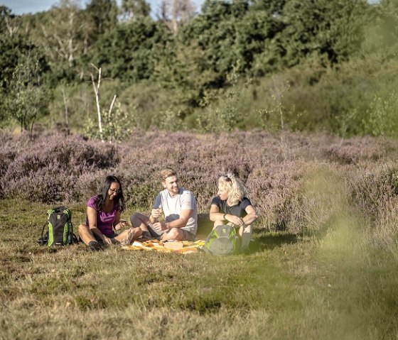 Picknick in der Dover Heide, © Kreis Düren_Dennis Stratmann Picknick in der Dover Heide, © Kreis Düren_Dennis Stratmann