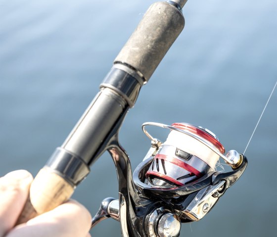 fishing rod, © Eifel Tourismus GmbH, Dominik Ketz fishing rod, © Eifel Tourismus GmbH, Dominik Ketz