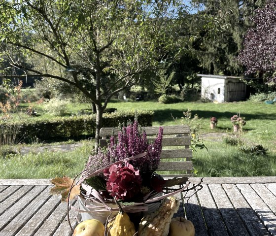 Gartenblick Gartenblick