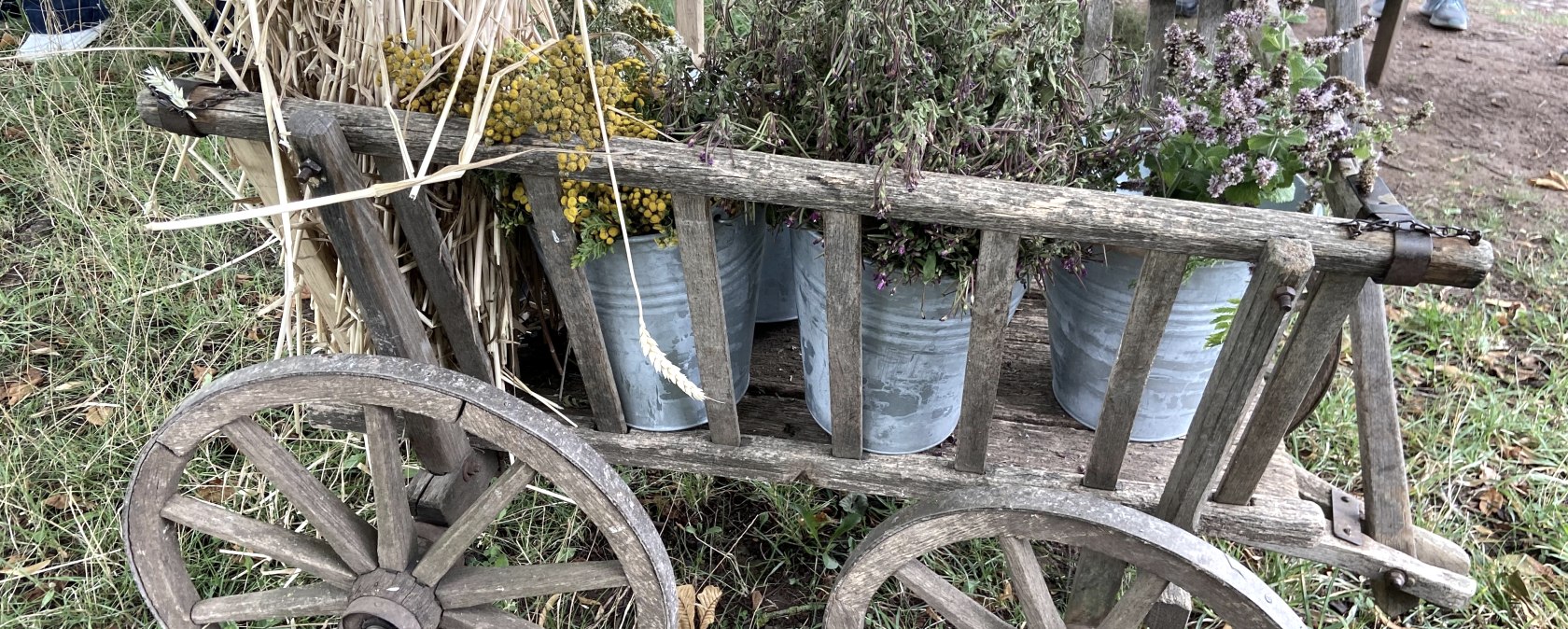 Handcart with Herbs, © LVR-Freilichtmuseum Kommern - Hans Theo Gerhards Handcart with Herbs, © LVR-Freilichtmuseum Kommern - Hans Theo Gerhards
