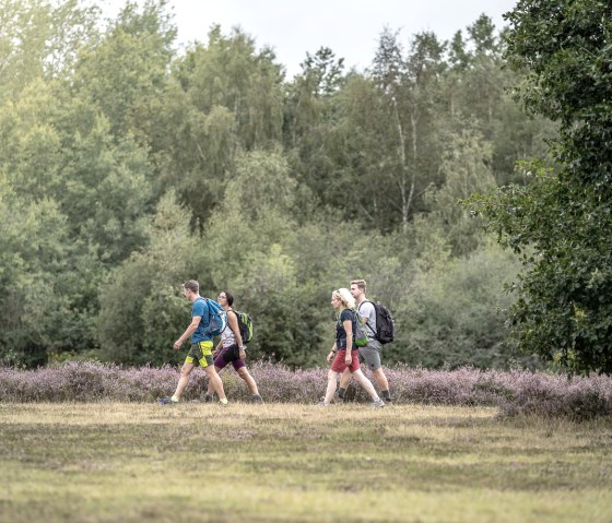 Drover Heath, © Dennis Stratmann | Kreis Düren Drover Heath, © Dennis Stratmann | Kreis Düren