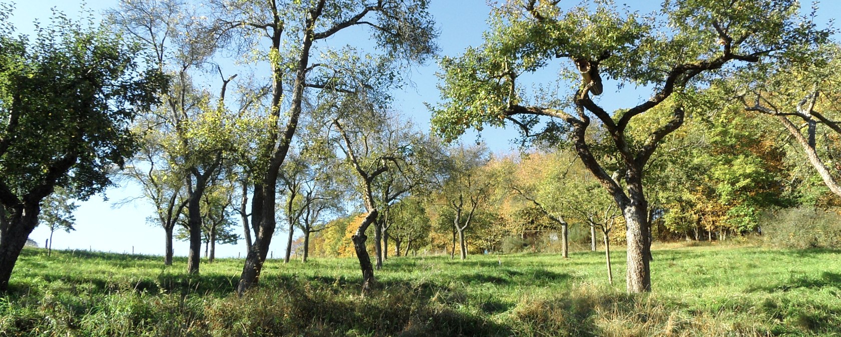 Across fields and meadows, © Eifel-Yeti Across fields and meadows, © Eifel-Yeti