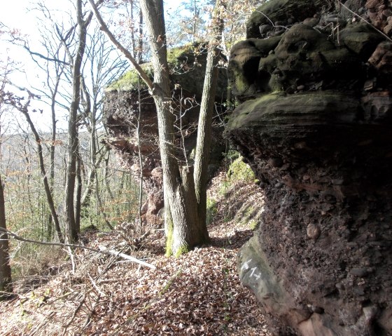 Buntsandsteinfelsen, © Eifel heimisch Buntsandsteinfelsen, © Eifel heimisch