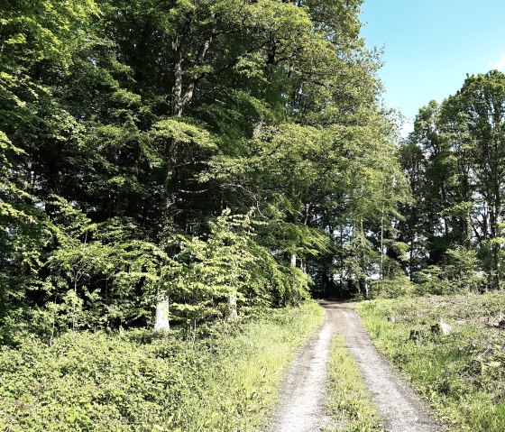 20210528_162622, © Annette Rosen-Roevenich & Nordeifel Tourismus GmbH 20210528_162622, © Annette Rosen-Roevenich & Nordeifel Tourismus GmbH