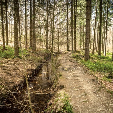 Am Hasselbachgraben, © Kupferstadt Stolberg, Dominik Ketz Am Hasselbachgraben, © Kupferstadt Stolberg, Dominik Ketz