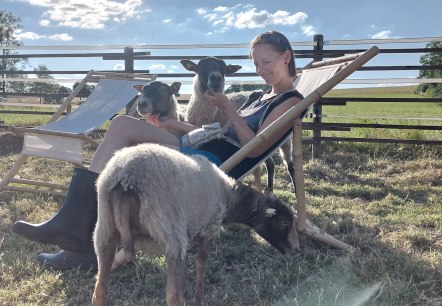 Kuscheln mit Schafen, © Die-Rote-16 Kuscheln mit Schafen, © Die-Rote-16