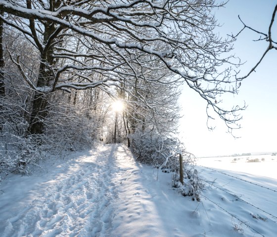 Winterwanderweg Eifel, © Eifel Tourismus GmbH, D, Ketz Winterwanderweg Eifel, © Eifel Tourismus GmbH, D, Ketz
