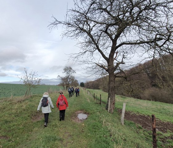 Eickser Busch, © Der Weggefährte - Michael Schulze Aktivtouren Eickser Busch, © Der Weggefährte - Michael Schulze Aktivtouren