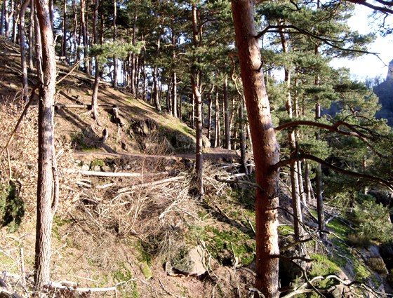 Christinenley Pfad Christinenley Pfad