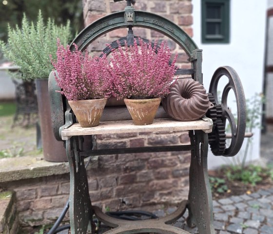 Innenhof-, © K.J. Wetzel & Nordeifel Tourismus GmbH Innenhof-, © K.J. Wetzel & Nordeifel Tourismus GmbH